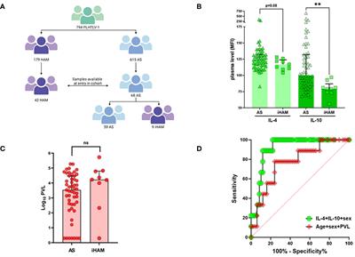 IL-10 predicts incident neuroinflammatory disease and proviral load dynamics in a large Brazilian cohort of people living with human T-lymphotropic virus type 1